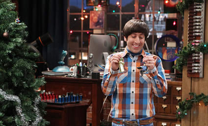 The Big Bang Theory: Watch Season 7 Episode 11 Online
