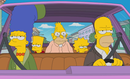 Watch The Simpsons Online: Season 29 Episode 5