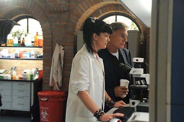 Gibbs, Abby at Work