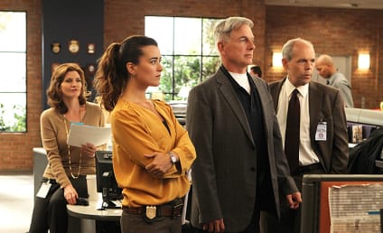 NCIS Review: Devil's Trifecta (With the Devil Always Being the Ex)