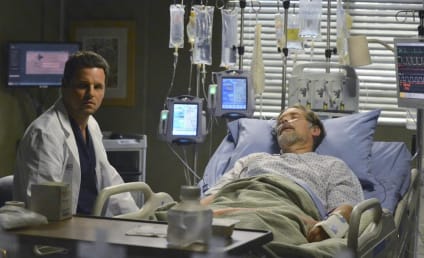 Patrick Fabian to Perform Surgery on Grey's Anatomy