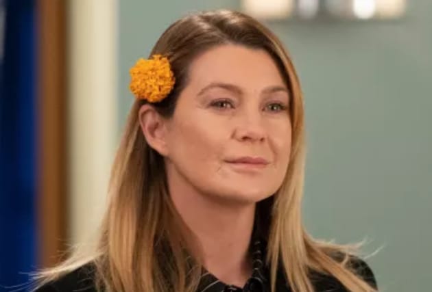 Greys anatomy season top 15 episode 6 stream