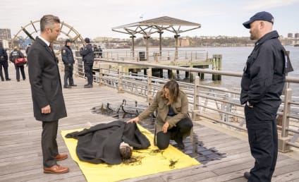Law & Order: SVU Season 20 Episode 24 Review: End Game