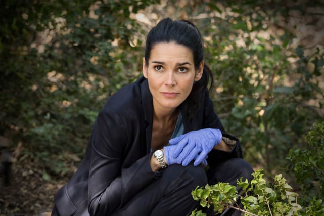 Missing evidence rizzoli and isles