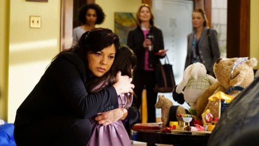 licentie Verovering Afdrukken Grey's Anatomy Season 12 Episode 22 Review: Mama Tried - TV Fanatic