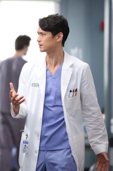 Blue Saves  - tall  - Grey's Anatomy Season 19 Episode 16