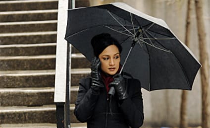 Archie Panjabi Previews New Insight into Kalinda on The Good Wife
