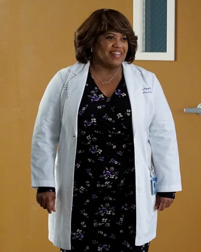 Bailey's Loss - Tall  - Grey's Anatomy Season 16 Episode 9