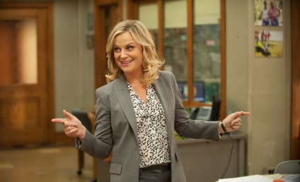 2014 Emmy Race: Who Should Win Lead Actress in a Comedy?