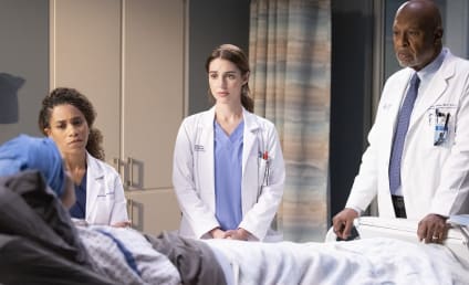 Grey's Anatomy Scores Season 20 Renewal: What's Changing?