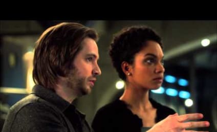 Nikita putlocker discount