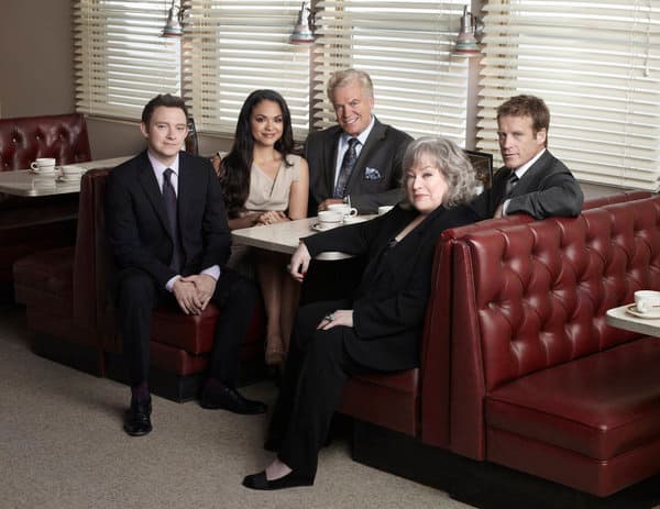 The Harry's Law Cast