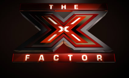 The X Factor Premieres: What Did You Think?