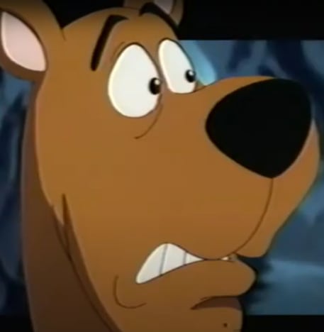 Scooby Doo Looks Frightened - What's New Scooby-Doo?