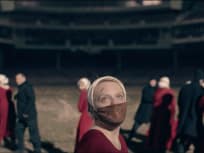 Women or Animals? - The Handmaid's Tale