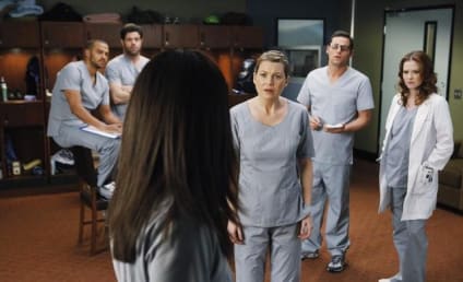 Tessa Ferrer to Make Television Debut on Grey's Anatomy