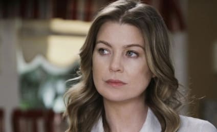Meredith to Become the Caretaker on Grey's Anatomy