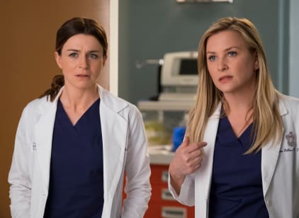 Grey's anatomy season 2025 14 free online