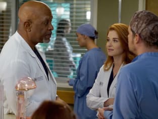 Grey s Anatomy Season 13 Episode 14