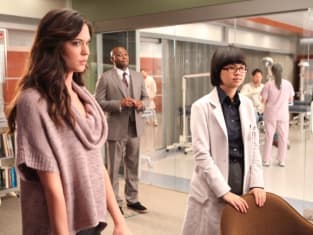 House md hotsell episodes watch online