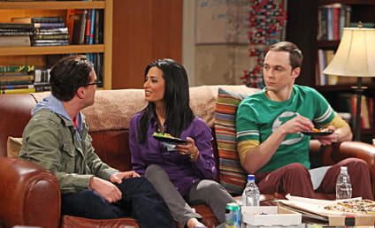 The Big Bang Theory Review: "The Cohabitation Formulation"