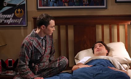 The Big Bang Theory: Watch Season 8 Episode 9 Online