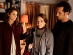 A Whole New Light - The Americans