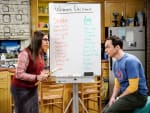 Wedding Planning - The Big Bang Theory