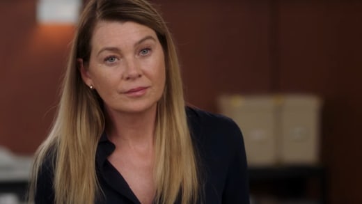 Meredith on Season 19 - Grey's Anatomy