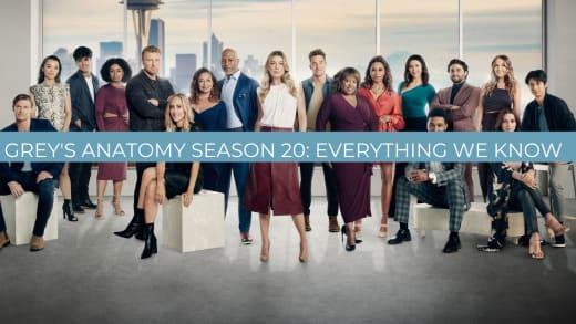 Grey s Anatomy Season 20 Plot Cast Premiere Date and