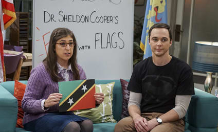 The Big Bang Theory Midseason Report: Funniest Moment, Best Character & More!