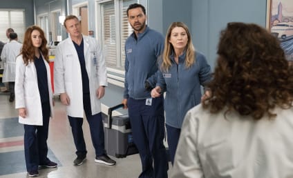 Grey's Anatomy Season 15 Episode 20 Review: The Whole Package