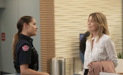 Grey's Anatomy Round Table: Is THAT What You Call a Crossover?! 