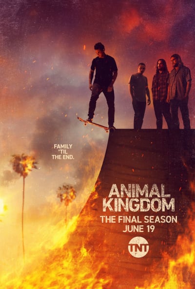 Animal Kingdom Final Key Art