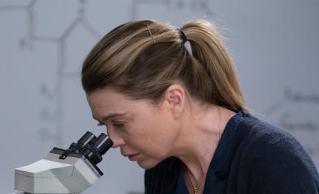 Greys anatomy clearance s15e16 stream