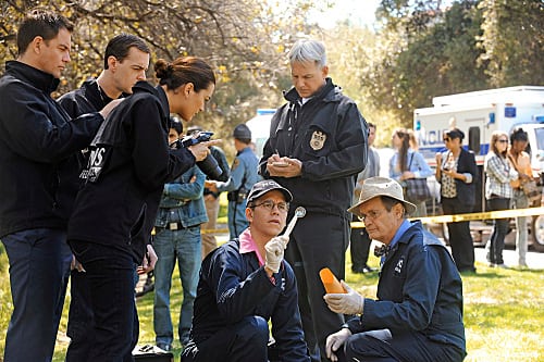 All NCIS Hands on Deck