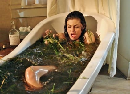 The secret circle streaming season 1 outlet