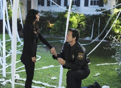 Cougar town watch online 2025