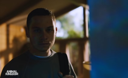 Animal Kingdom Season 5 Trailer: Running Wild & Running Sh*t!