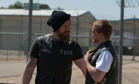 Sons of sales anarchy 123