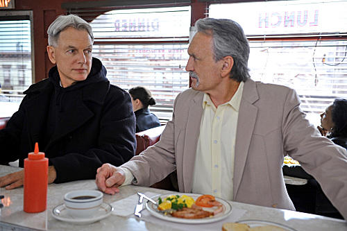Gibbs and Mike