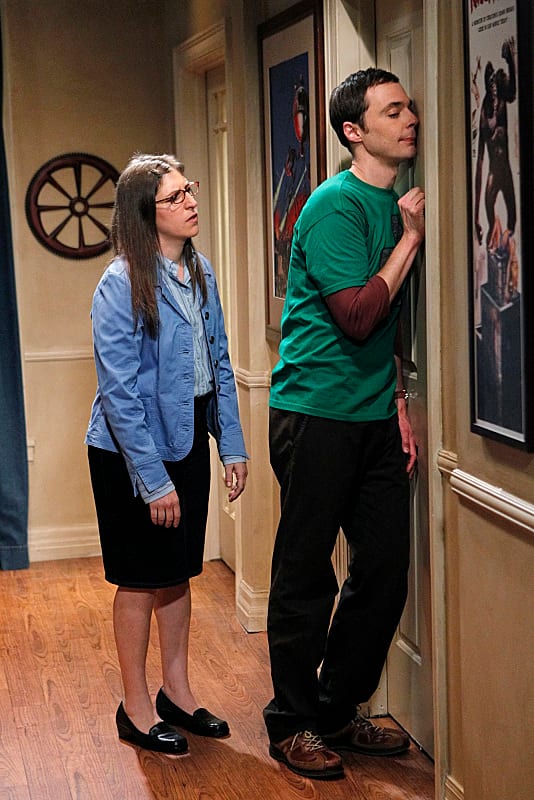 Sheldon Knocks TV Fanatic
