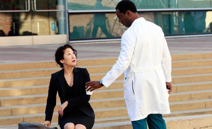 Grey's Anatomy Review: Cristina and the Chocolate Factory