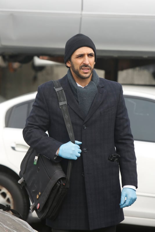 Amir Arison as Aram Mojtaba
