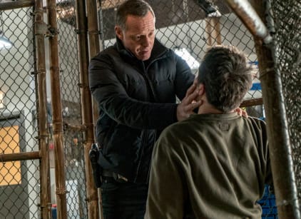Chicago PD Season 4 Episode 13 TV Fanatic