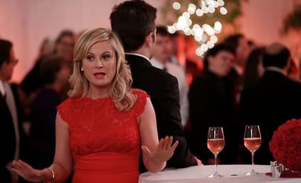 Parks and Recreation Review: Mrs. Leslie Knope and Mr. Ben Wyatt
