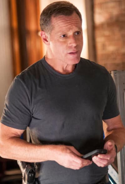 voight 1