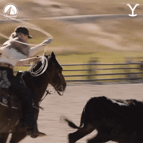 Teeter Ropes - Yellowstone