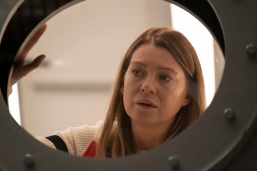 Behind the Looking Glass - Grey's Anatomy Season 15 Episode 25