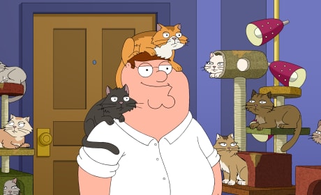 Peter Griffin Photos Tv Fanatic